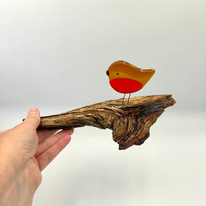 Woodland Robin