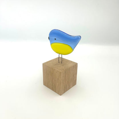 Perched Blue Tit
