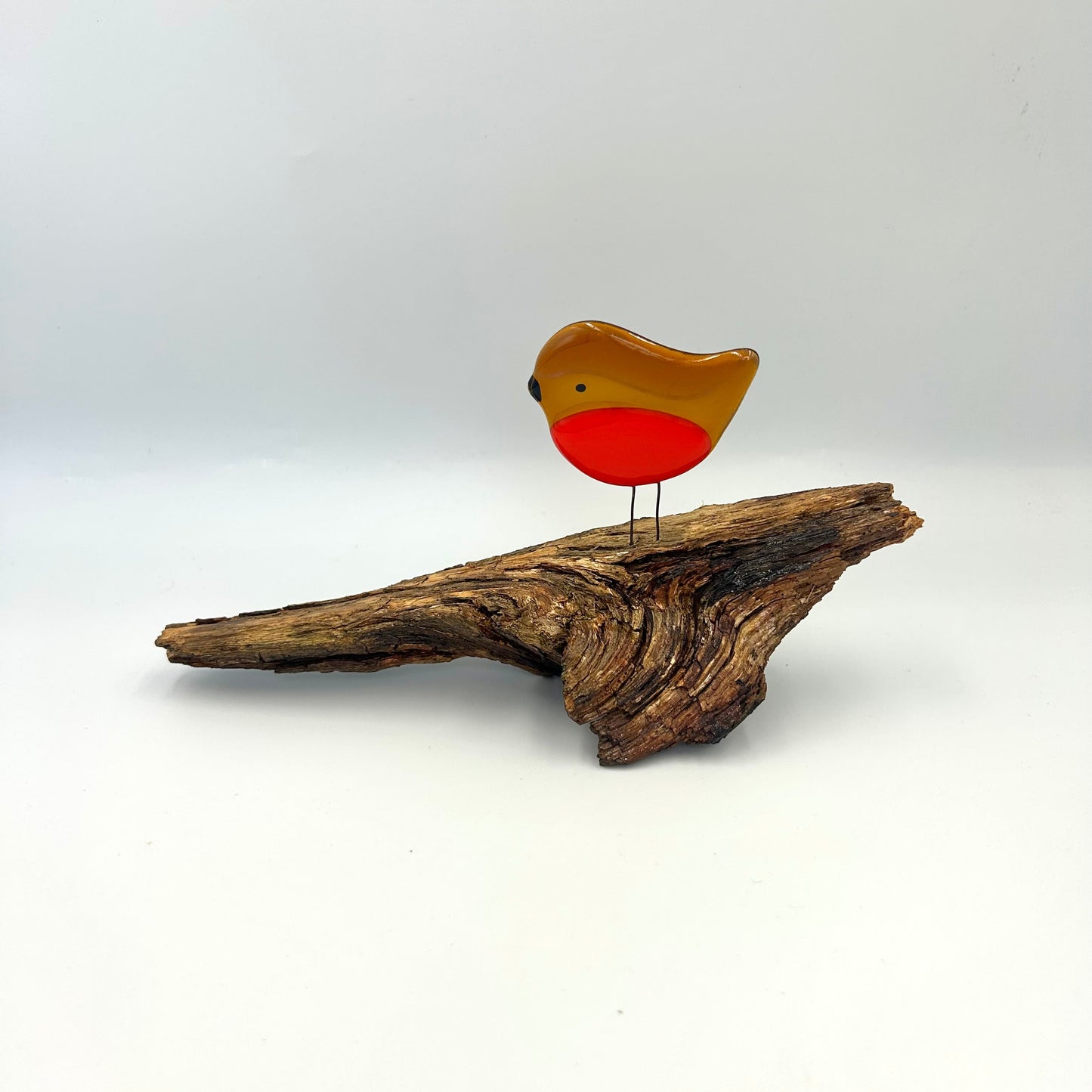Woodland Robin