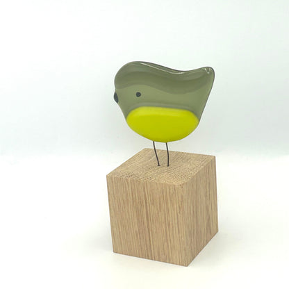 Perched Greenfinch