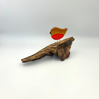 Woodland Robin