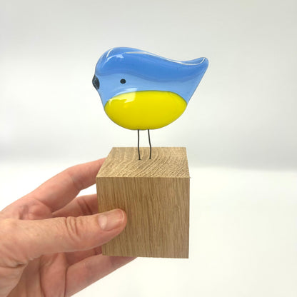Perched Blue Tit