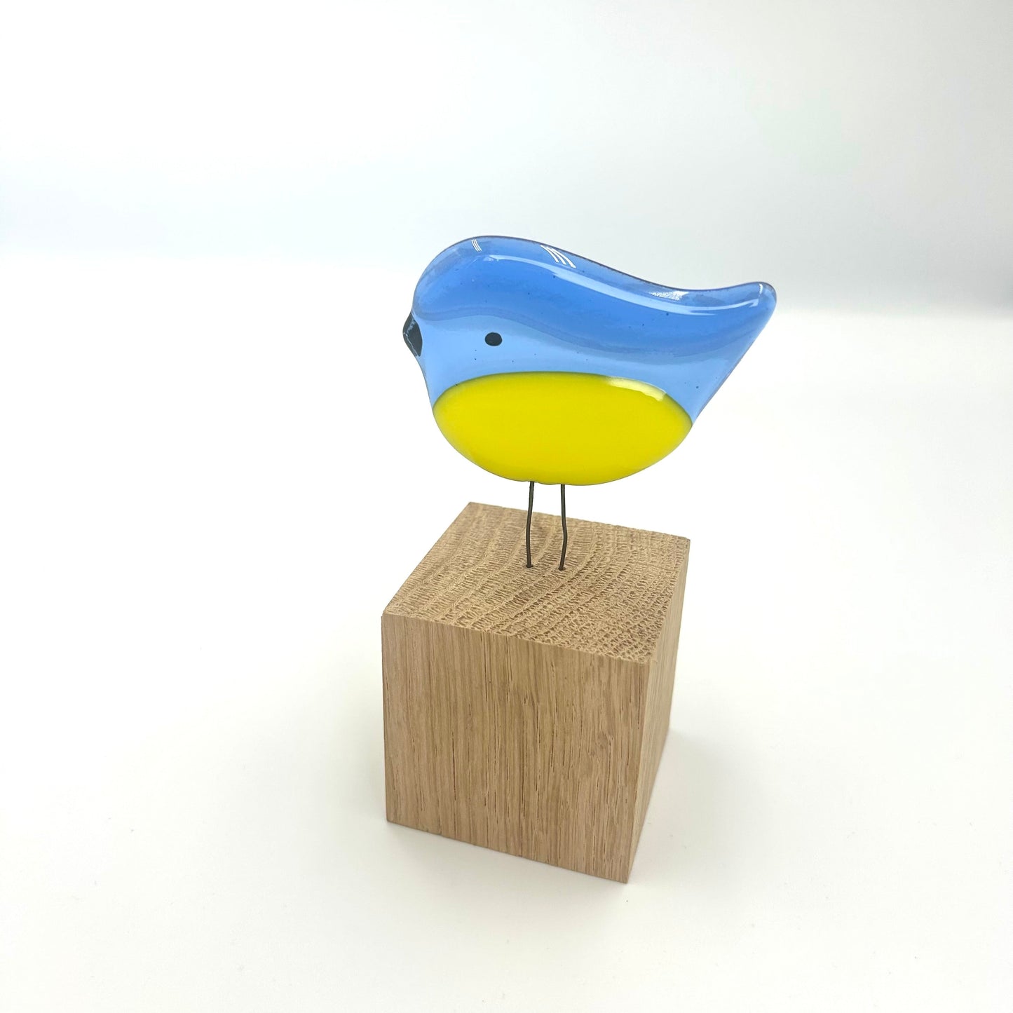 Perched Blue Tit