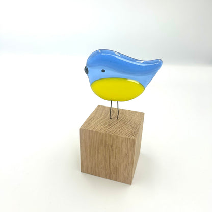 Perched Blue Tit