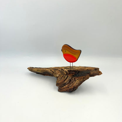 Woodland Robin