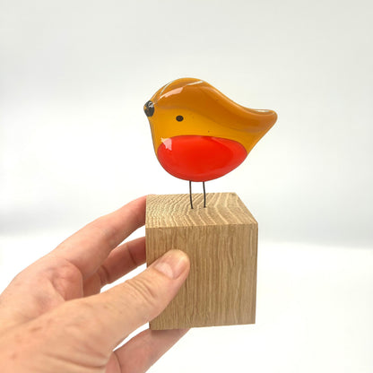 Perched Robin